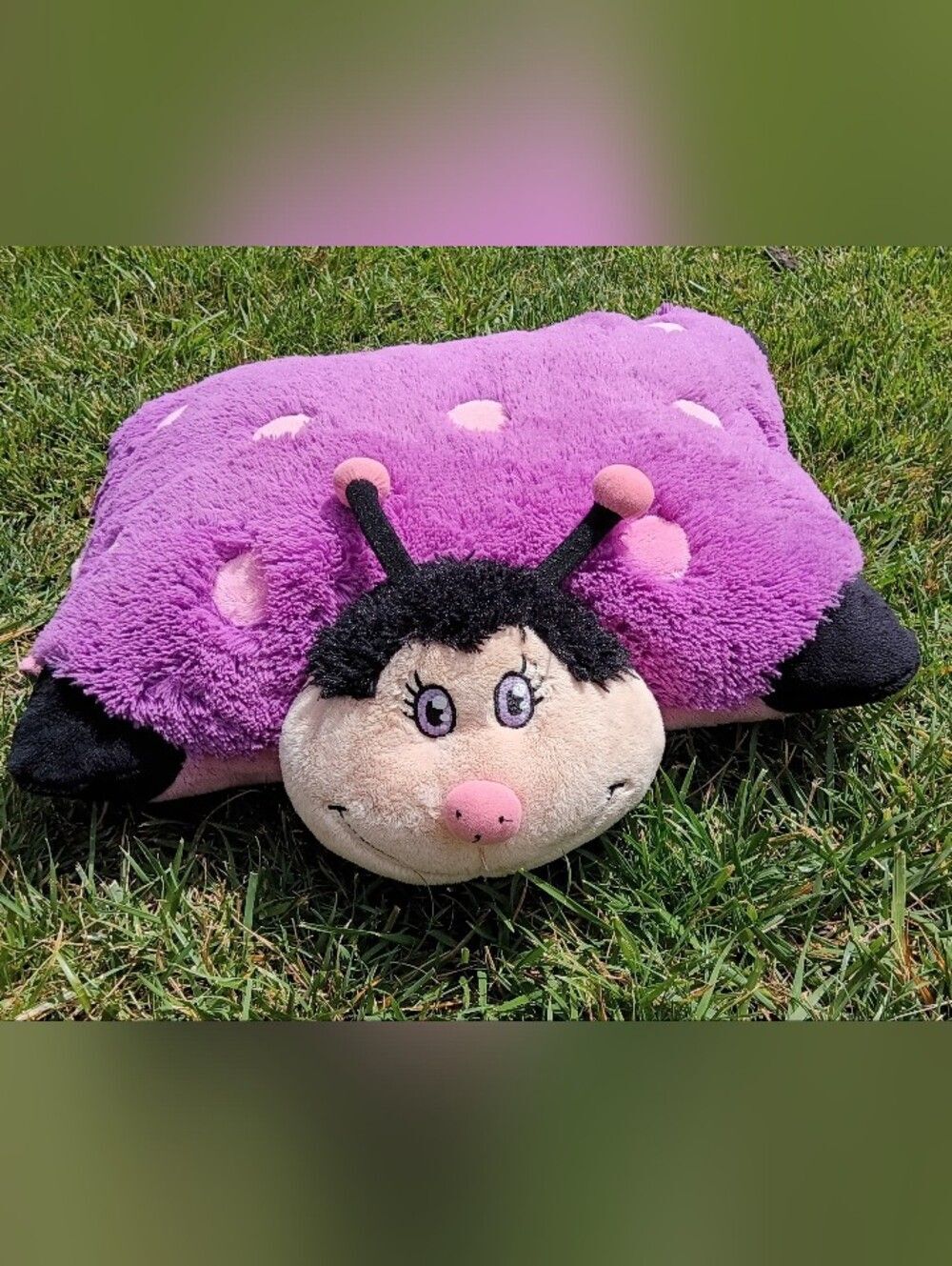Limited Edition My Pillow Pets Purple Ladybug Plush Pillow "Sierra" Personalized